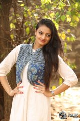 Nikitha Narayan at Ladies and Gentlemen Platinum Disc Function